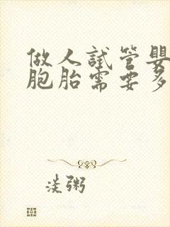 做人试管婴儿双胞胎需要多少费用封面