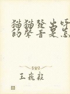 猫猫发出呼噜噜的声音是怎么回事