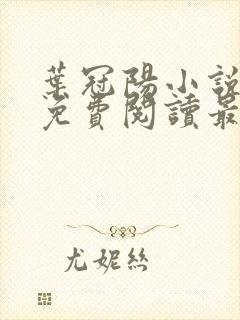 叶冠阳小说全文免费阅读最新章节