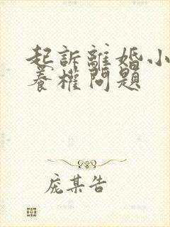 起诉离婚小孩抚养权问题