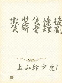 假装失忆后他永失所爱短剧