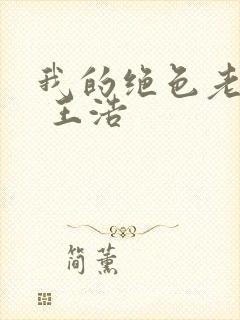 我的绝色老板娘 王浩封面