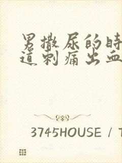 男撒尿的时候尿道刺痛出血