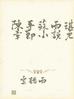 陈平苏雨琪最新章节小说免费阅读