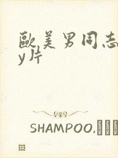 欧美男同志gay片封面