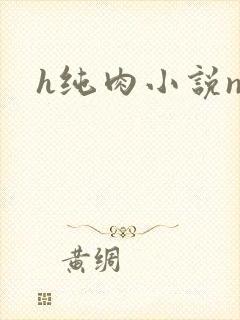 h纯肉小说np封面