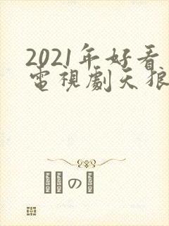 2021年好看电视剧天狼影视
