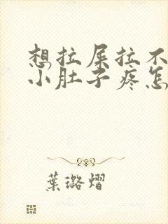 想拉屎拉不出来小肚子疼怎么回事