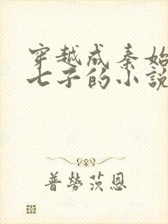 穿越成秦始皇十七子的小说封面