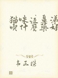 猫咪流鼻涕发烧吃什么药好封面