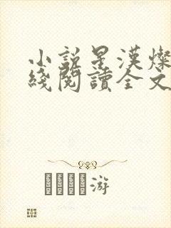 小说星汉灿烂在线阅读全文封面