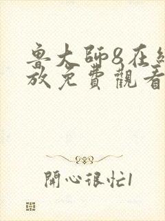 鲁大师8在线播放免费观看电视剧