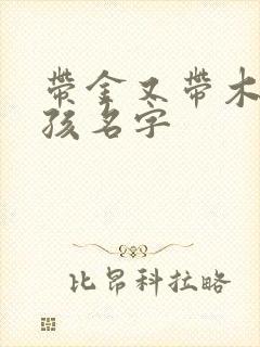 带金又带木的女孩名字