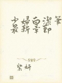 少妇白洁笔趣阁最新章节