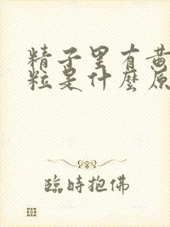 精子里有黄色颗粒是什么原因