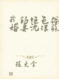 我的绝色总裁未婚妻沈浪苏若雪