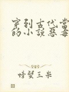 穿到古代当后妈的小说恶毒