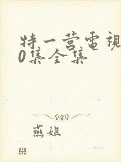 特一营电视剧40集全集封面