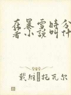 在暴雪时分的原著小说叫什么