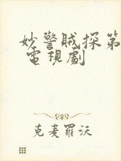 妙警贼探第六季 电视剧