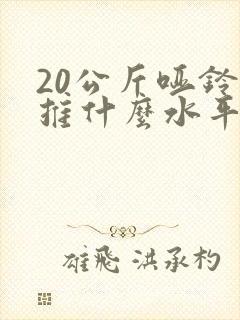 20公斤哑铃卧推什么水平