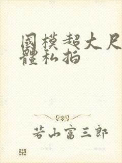 国模超大尺度肉体私拍封面