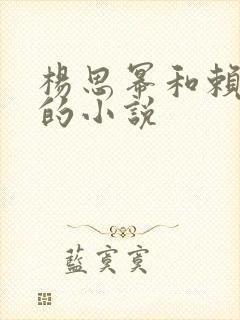 杨思幂和赖校长的小说