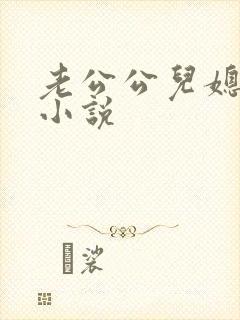 老公公儿媳妇的小说