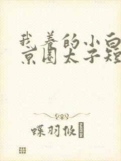 我养的小白脸是京圈太子短剧