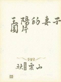 王阳的妻子是谁图片