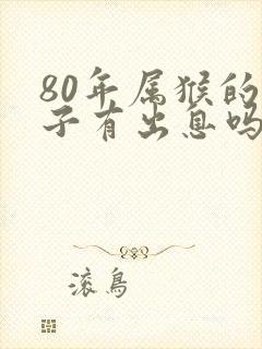 80年属猴的儿子有出息吗封面