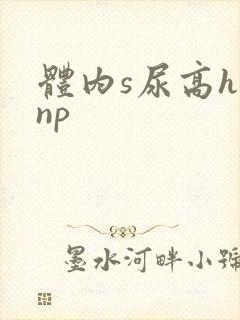 体内s尿高h文np封面