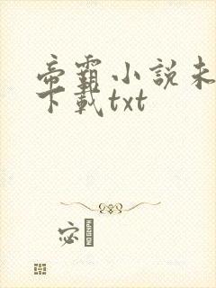 帝霸小说未删版下载txt封面