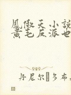 凤傲天小说里的黄毛反派也想得到幸福