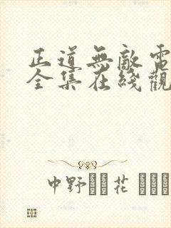 正道无敌电视剧全集在线观看免费