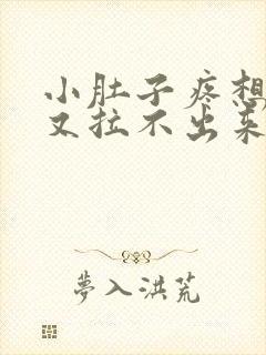 小肚子疼想大便又拉不出来怎么回事