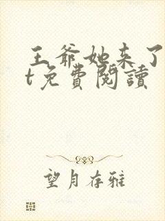 王爷她来了txt免费阅读封面