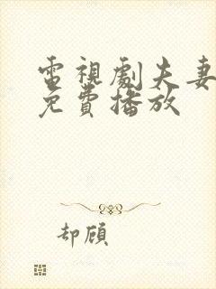 电视剧夫妻全集免费播放