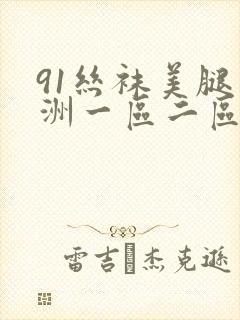 91丝袜美腿亚洲一区二区