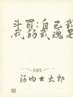 斗罗:自已武魂,我的武魂是魂斗罗