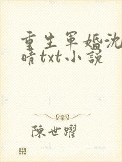 重生军婚沈毅李晴txt小说
