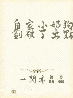 自家小奶狗牙齿划破了出点血封面