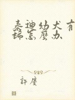 泰迪幼犬有点拉稀怎么办