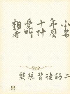 相爱十年小说原著叫什么名字封面