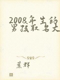 2008年生的男孩取名大全封面
