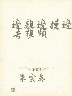 边亲边摸边插进去视频