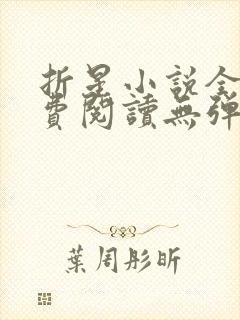 折星小说全文免费阅读无弹窗