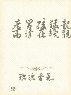 老男孩猛龙过江高清在线观看