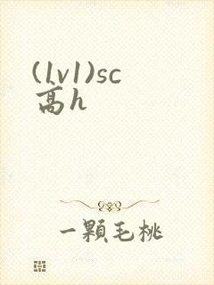 (1v1)sc高h