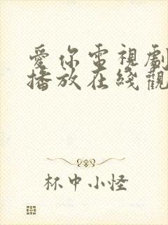 爱你电视剧免费播放在线观看